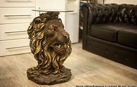   Lion Studio32